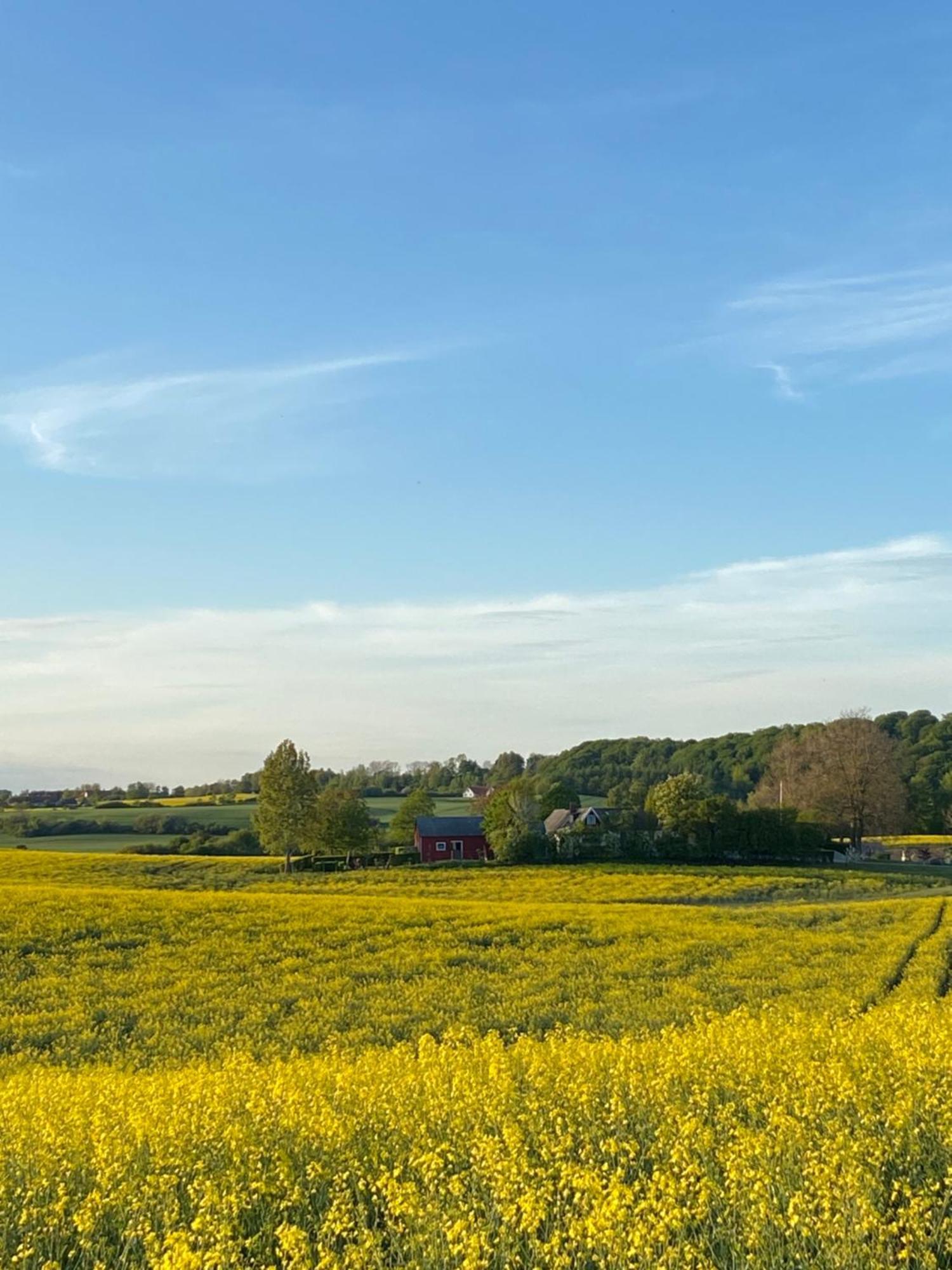 Blomstertantens Hus Trelleborg Exterior foto